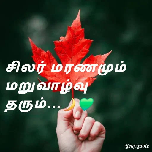 Quote by NILA.M NILA.M - சிலர் மரணமும் மறுவாழ்வு தரும்...🌙💚 - Made using Quotes Creator App, Post Maker App