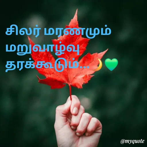 Quote by NILA.M NILA.M - சிலர் மரணமும் மறுவாழ்வு தரக்கூடும்...🌙💚 - Made using Quotes Creator App, Post Maker App