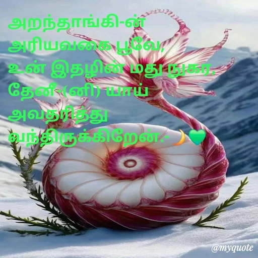 Quote by NILA.M NILA.M - அறந்தாங்கி-ன் அரியவகை பூவே,
உன் இதழின் மது நுகர,
தேனீ-(னி) யாய் அவதரித்து வந்திருக்கிறேன்.-🌙💚 - Made using Quotes Creator App, Post Maker App