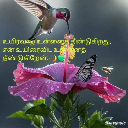 Quote by NILA.M NILA.M - உயிர்வாழ உன்னைத் தீண்டுகிறது,
என் உயிரைவிட உன்னைத் தீண்டுகிறேன்.-🌙💚 - Made using Quotes Creator App, Post Maker App