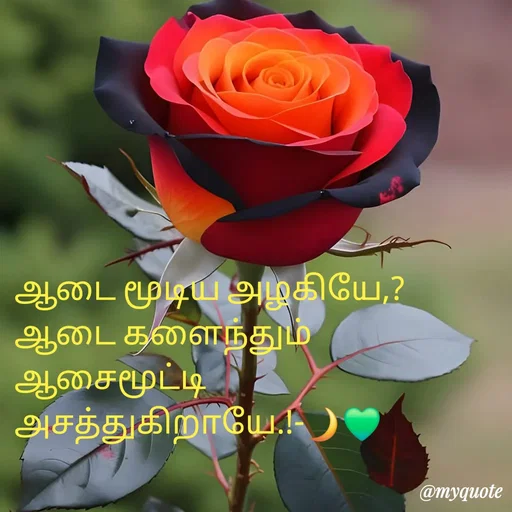 Quote by NILA.M NILA.M - ஆடை மூடிய அழகியே,?
ஆடை களைந்தும் ஆசைமூட்டி அசத்துகிறாயே.!-🌙💚 - Made using Quotes Creator App, Post Maker App