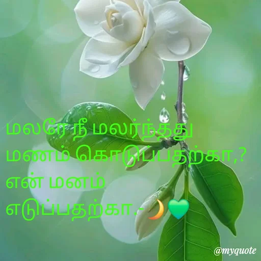 Quote by NILA.M NILA.M - மலரே நீ மலர்ந்தது மணம் கொடுப்பதற்கா,?
என் மனம் எடுப்பதற்கா.-🌙💚 - Made using Quotes Creator App, Post Maker App