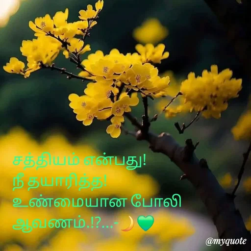Quote by NILA.M NILA.M - சத்தியம் என்பது!
நீ தயாரித்த! 
உண்மையான போலி ஆவணம்.!?...-🌙💚 - Made using Quotes Creator App, Post Maker App