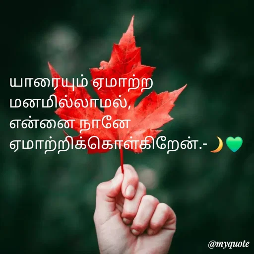 Quote by NILA.M NILA.M - யாரையும் ஏமாற்ற மனமில்லாமல்,
என்னை நானே ஏமாற்றிக்கொள்கிறேன்.-🌙💚 - Made using Quotes Creator App, Post Maker App