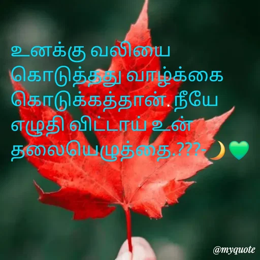 Quote by NILA.M NILA.M - உனக்கு வலியை கொடுத்தது வாழ்க்கை கொடுக்கத்தான். நீயே எழுதி விட்டாய் உன் தலையெழுத்தை.???-🌙💚 - Made using Quotes Creator App, Post Maker App