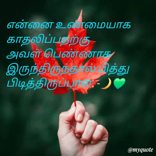 Quote by NILA.M NILA.M - என்னை உண்மையாக காதலிப்பதற்கு அவள் பெண்ணாக இருந்திருந்தால் பித்து பிடித்திருப்பாள். -🌙💚 - Made using Quotes Creator App, Post Maker App