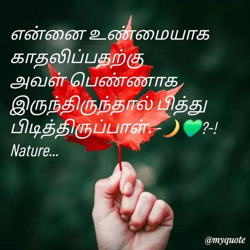 Quote by NILA.M NILA.M - என்னை உண்மையாக காதலிப்பதற்கு அவள் பெண்ணாக இருந்திருந்தால் பித்து பிடித்திருப்பாள். -🌙💚?-!Nature... - Made using Quotes Creator App, Post Maker App