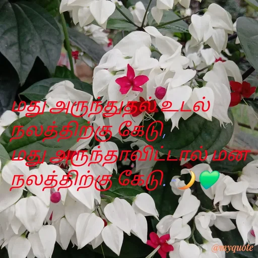 Quote by NILA.M NILA.M - மது அருந்துதல் உடல் நலத்திற்கு கேடு,
மது அருந்தாவிட்டால் மன நலத்திற்கு கேடு. -🌙💚 - Made using Quotes Creator App, Post Maker App