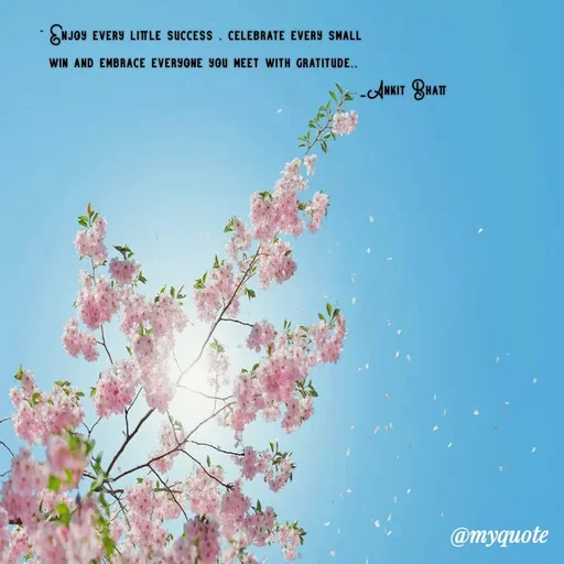 Quote by Ankit Bhatt ⁠♡ - " Enjoy every little success , celebrate every small 
win and embrace everyone you meet with gratitude,,
                                                                         _Ankit Bhatt - Made using Quotes Creator App, Post Maker App