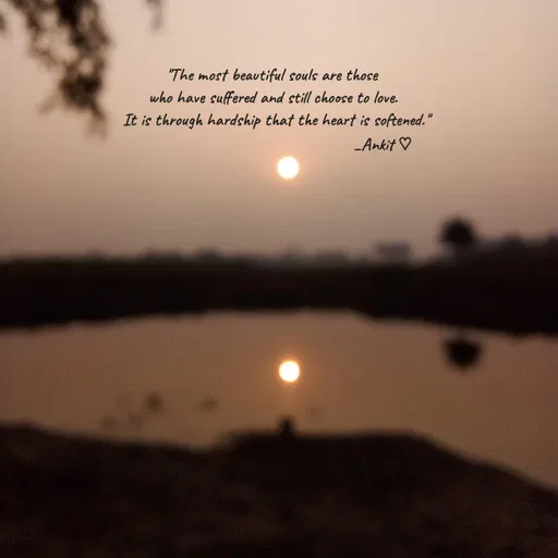 Quote by Ankit Bhatt ⁠♡ - "The most beautiful souls are those 
who have suffered and still choose to love.
 It is through hardship that the heart is softened."
                                                        _Ankit ♡         
                 - Made using Quotes Creator App, Post Maker App
