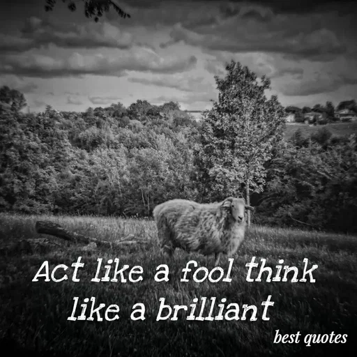 Quote by my quote - Act like a fool think like a brilliant  - Made using Quotes Creator App, Post Maker App