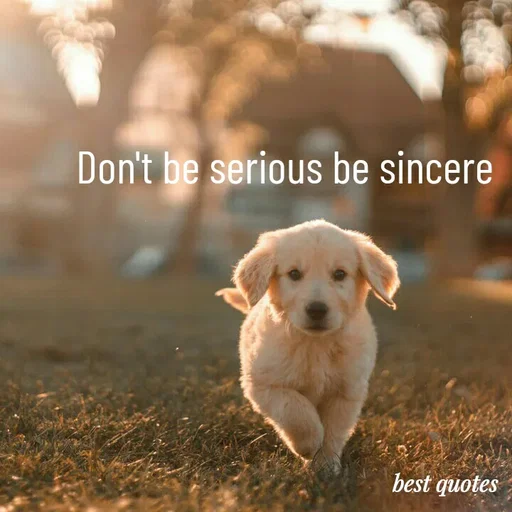Quote by my quote - Don't be serious be sincere  - Made using Quotes Creator App, Post Maker App