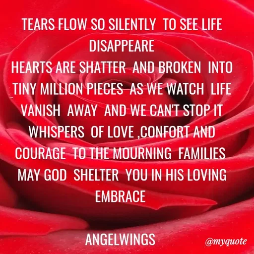 Quote by Angelwings -  - Made using Quotes Creator App, Post Maker App