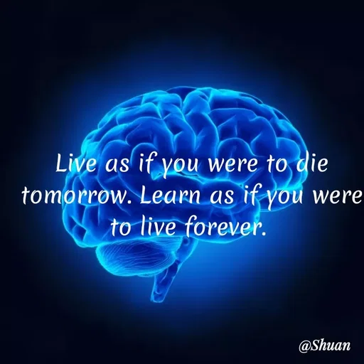Quote by SHUAN Sithole - Live as if you were
to die
tomorrow. Learn as if you were
to live foreveř.
@Shuan
 - Made using Quotes Creator App, Post Maker App