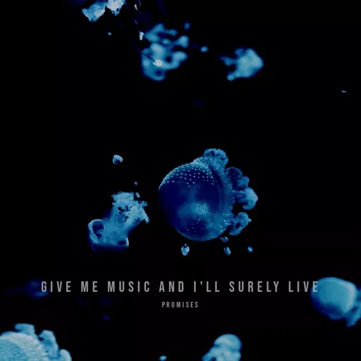 Quote by SHUAN Sithole - GIVE ME MUSIC AND I'LL SURELY LIVE
PROMISES
 - Made using Quotes Creator App, Post Maker App