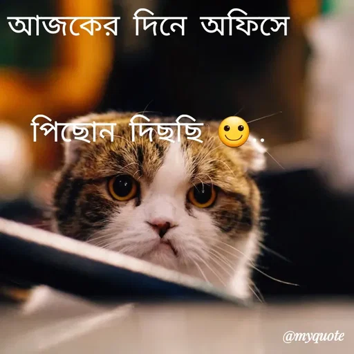 Quote by R J - আজকের দিনে অফিসে পিছোন দিছছি 🙂.. - Made using Quotes Creator App, Post Maker App
