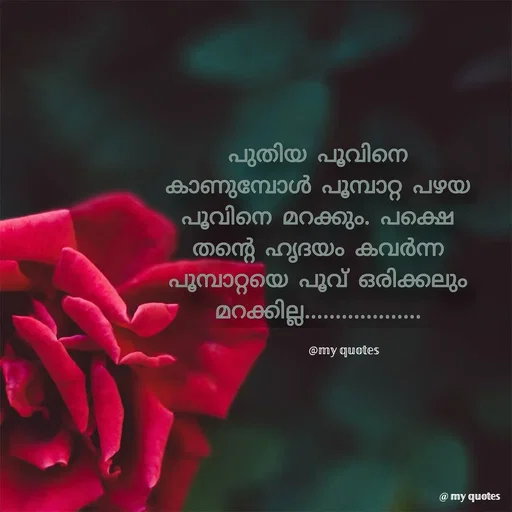 Quote by @𝕞𝕪 𝕢𝕦𝕠𝕥𝕖𝕤 - @𝕞𝕪 𝕢𝕦𝕠𝕥𝕖𝕤 - Made using Quotes Creator App, Post Maker App