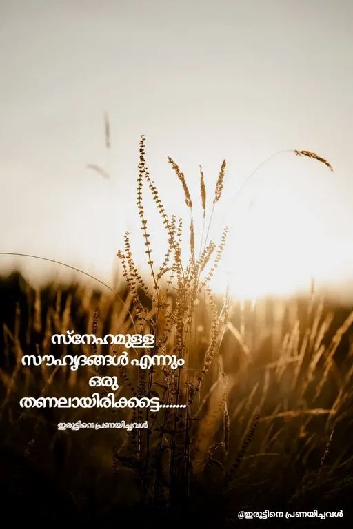 Quote by ഇരുട്ടിനെ പ്രണയിച്ചവൾ - സ്നേഹമുള്ള സൗഹൃദങ്ങൾ എന്നും
ഒരു തണലായിരിക്കട്ടെ........

ഇരുട്ടിനെ പ്രണയിച്ചവൾ - Made using Quotes Creator App, Post Maker App