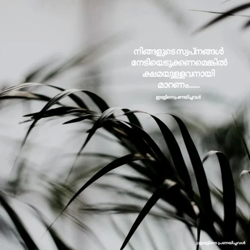 Quote by ഇരുട്ടിനെ പ്രണയിച്ചവൾ - നിങ്ങളുടെ സ്വപ്‌നങ്ങൾ
 നേടിയെടുക്കണമെങ്കിൽ
ക്ഷമയുള്ളവനായി മാറണം......

ഇരുട്ടിനെ പ്രണയിച്ചവൾ  - Made using Quotes Creator App, Post Maker App