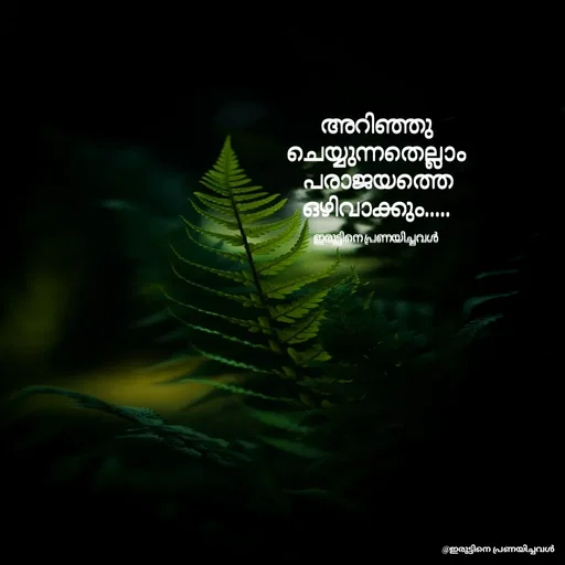 Quote by ഇരുട്ടിനെ പ്രണയിച്ചവൾ - അറിഞ്ഞു ചെയ്യുന്നതെല്ലാം
 പരാജയത്തെ ഒഴിവാക്കും.....

ഇരുട്ടിനെ പ്രണയിച്ചവൾ  - Made using Quotes Creator App, Post Maker App