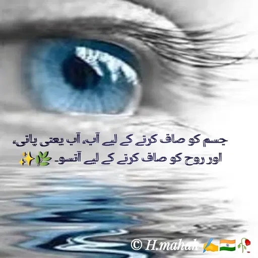 Quote by H.Mahak 🇮🇳✍️🥀 -  - Made using Quotes Creator App, Post Maker App