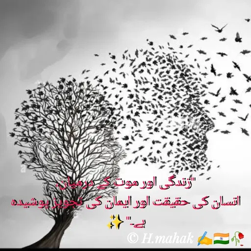 Quote by H.Mahak 🇮🇳✍️🥀 -  - Made using Quotes Creator App, Post Maker App
