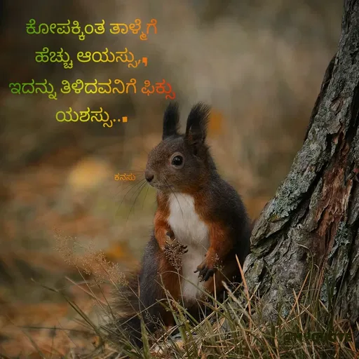 Quote by ಕನಸು -  - Made using Quotes Creator App, Post Maker App
