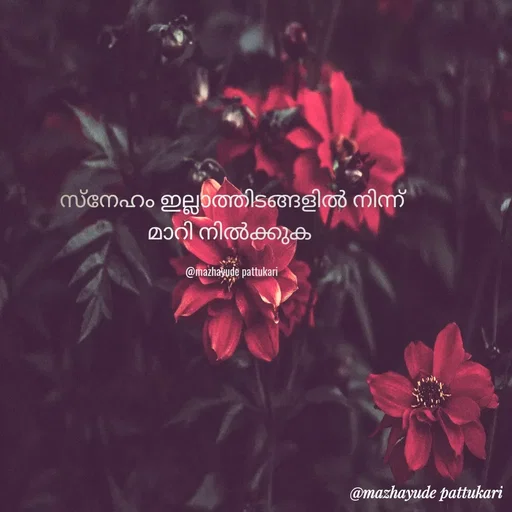 Quote by Sneha k Biju -  - Made using Quotes Creator App, Post Maker App