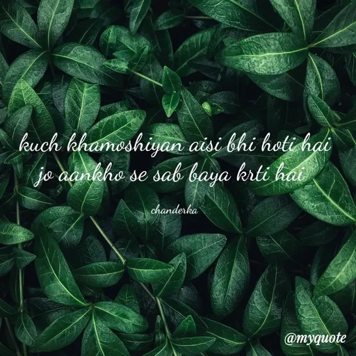 Quote by Chanderka Thakur - kuch khamoshiyan aisi bhi hoti hai
jo aankho se sab baya krti hai 

chanderka - Made using Quotes Creator App, Post Maker App