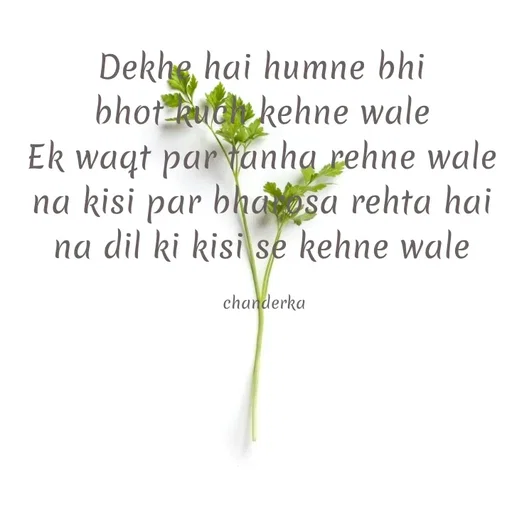 Quote by Chanderka Thakur - Dekhe hai humne bhi 
bhot kuch kehne wale 
Ek waqt par tanha rehne wale 
na kisi par bharosa rehta hai 
na dil ki kisi se kehne wale 

chanderka  - Made using Quotes Creator App, Post Maker App
