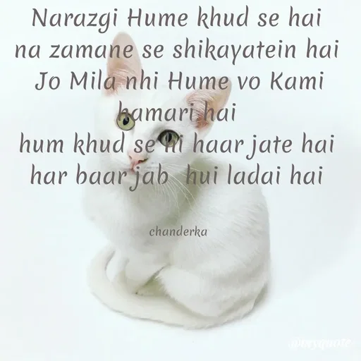 Quote by Chanderka Thakur - Narazgi Hume khud se hai 
na zamane se shikayatein hai 
Jo Mila nhi Hume vo Kami hamari hai 
hum khud se hi haar jate hai 
har baar jab  hui ladai hai 


chanderka  - Made using Quotes Creator App, Post Maker App