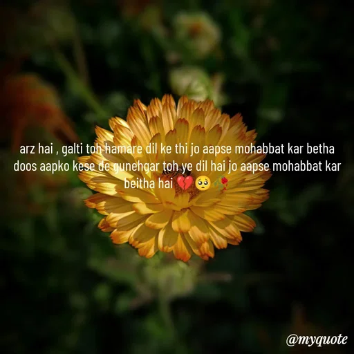 Quote by OM Soni - arz hai , galti toh hamare dil ke thi jo aapse mohabbat kar betha doos aapko kese de gunehgar toh ye dil hai jo aapse mohabbat kar beitha hai 💔🥺🥀 - Made using Quotes Creator App, Post Maker App