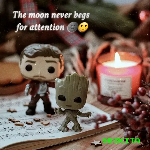 Quote by Trisha Shrestha - The moon never begs
for attention
TTA
 - Made using Quotes Creator App, Post Maker App