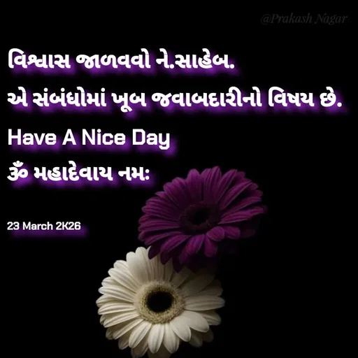 Quote by Positives<>Negatives -  - Made using Quotes Creator App, Post Maker App