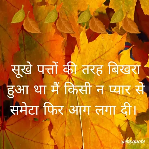 Quote by Sonu Sharma - सूखे पत्तों की तरह बिखरा
हुआ था मैं किसी न प्यार से
समेटा फिर आग लगा दी।
@myquote
 - Made using Quotes Creator App, Post Maker App