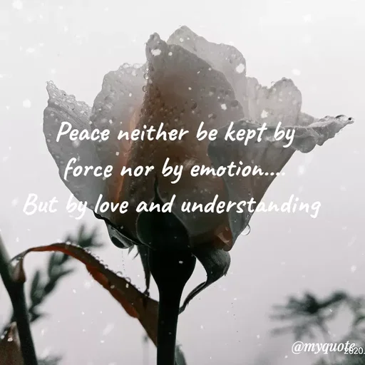 Quote by Nirjara Rai - Peace neither be kept.
force nor
by emotion.
But by love and understanding
@myquote,o
 - Made using Quotes Creator App, Post Maker App