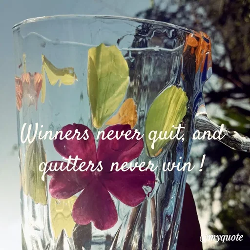Quote by Nirjara Rai - Winners never quit, and
qaitters
never win !
Omyquote
 - Made using Quotes Creator App, Post Maker App