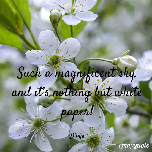 Quote by Divya Singh -  - Made using Quotes Creator App, Post Maker App