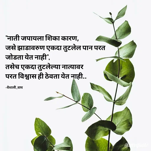 Quote by Vaishali Wagh - "नाती जपायला शिका कारण,
जसे झाडावरुण एकदा तुटलेल पान परत
जोडता येत नाही",
तसेच एकदा तुटलेल्या नात्यावर
परत विश्वास ही ठेवता येत नाही..
-वैशाली_वाघ
@yquote
 - Made using Quotes Creator App, Post Maker App