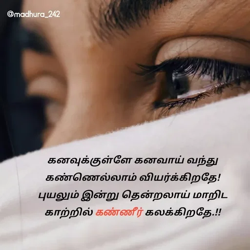 Quote by Madhumitha - கனவுக்குள்ளே கனவாய் வந்து கண்ணெல்லாம் வியர்க்கிறதே!
புயலும் இன்று தென்றலாய் மாறிட
காற்றில் கண்ணீர் கலக்கிறதே.!! - Made using Quotes Creator App, Post Maker App