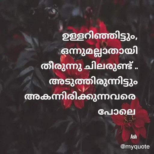 Quote by Ash Binoy - ഉള്ളറിഞ്ഞിട്ടും,
ഒന്നുമല്ലാതായി
തീരുന്നു ചിലരുണ്ട് ..
അടുത്തിരുന്നിട്ടും
 അകന്നിരിക്കുന്നവരെ 
പോലെ 


Ash  - Made using Quotes Creator App, Post Maker App