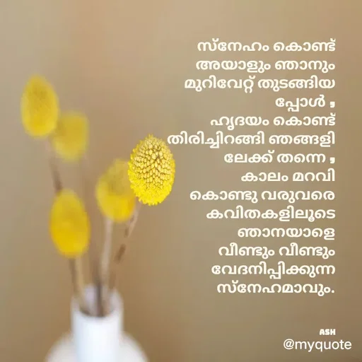 Quote by Ash Binoy - സ്നേഹം കൊണ്ട്
അയാളും ഞാനും
മുറിവേറ്റ് തുടങ്ങിയ
പ്പോൾ ,
ഹൃദയം കൊണ്ട്
തിരിച്ചിറങ്ങി ഞങ്ങളി
ലേക്ക് തന്നെ ,
കാലം മറവി
 കൊണ്ടു വരുവരെ
കവിതകളിലൂടെ
ഞാനയാളെ
വീണ്ടും വീണ്ടും
വേദനിപ്പിക്കുന്ന
സ്നേഹമാവും.



ash
 - Made using Quotes Creator App, Post Maker App