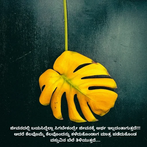 Quote by Peace finder - ಜೀವನದಲ್ಲಿ ಬಯಸಿದ್ದೆಲ್ಲಾ ಸಿಗಬೇಕಂದ್ರೇ ಜೀವನಕ್ಕೆ ಅರ್ಥ ಇಲ್ಲದಂತಾಗುತ್ತದೆ!!!
ಆದರೆ ಕೆಲವೊಮ್ಮೆ ಕೆಲವೊಂದನ್ನು ಕಳೆದುಕೊಂಡಾಗ ಮಾತ್ರ ಪಡೆದುಕೊಂಡ ವಸ್ತುವಿನ ಬೆಲೆ ತಿಳಿಯುತ್ತದೆ.... - Made using Quotes Creator App, Post Maker App