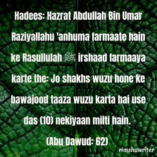 Quote by Islamic  post - Hadees: Hazrat Abdullah Bin Umar Raziyallahu 'anhuma farmaate hain ke Rasullulah ﷺ irshaad farmaaya karte the: Jo shakhs wuzu hone ke bawajood taaza wuzu karta hai use das (10) nekiyaan milti hain.
(Abu Dawud: 62)
  - Made using Quotes Creator App, Post Maker App