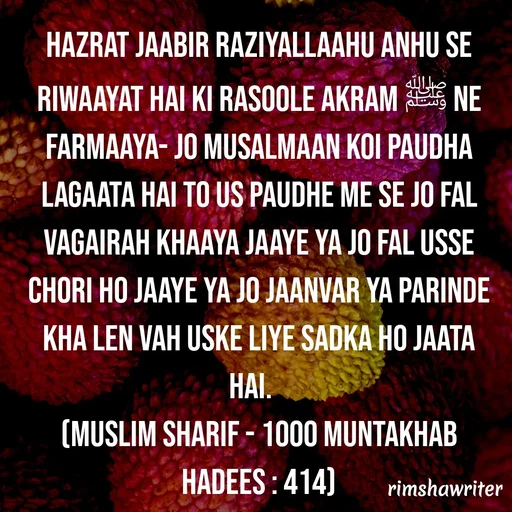 Quote by Islamic  post - Hazrat jaabir raziyallaahu anhu se riwaayat hai ki Rasoole Akram ﷺ ne farmaaya- jo musalmaan koi paudha lagaata hai to us paudhe me se jo fal vagairah khaaya jaaye ya jo fal usse chori ho jaaye ya jo jaanvar ya parinde kha len vah uske liye sadka ho jaata hai.
(Muslim Sharif - 1000 Muntakhab Hadees : 414)
 - Made using Quotes Creator App, Post Maker App