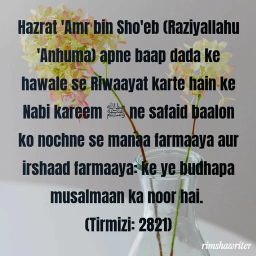 Quote by Islamic  post - Hazrat 'Amr bin Sho'eb (Raziyallahu 'Anhuma) apne baap dada ke hawale se Riwaayat karte hain ke Nabi kareem ﷺ ne safaid baalon ko nochne se manaa farmaaya aur irshaad farmaaya: ke ye budhapa musalmaan ka noor hai.
(Tirmizi: 2821)

 - Made using Quotes Creator App, Post Maker App