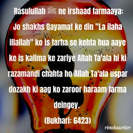 Quote by Islamic  post -  Rasulullah ﷺ ne irshaad farmaaya: Jo shakhs Qayamat ke din "La ilaha illallah" ko is tarha se kehta hua aaye ke is kalima ke zariye Allah Ta'ala hi ki razamandi chahta ho Allah Ta'ala uspar dozakh ki aag ko zaroor haraam farma deingey.
(Bukhari: 6423)
 - Made using Quotes Creator App, Post Maker App