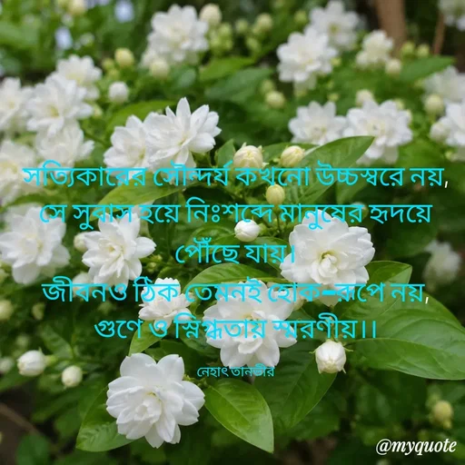 Quote by Nehat Tanvir -  - Made using Quotes Creator App, Post Maker App
