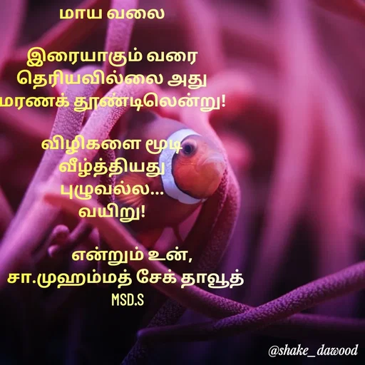 Quote by Shake Dawood -  - Made using Quotes Creator App, Post Maker App
