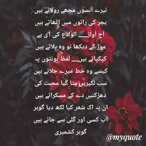 Quote by Altaf Gohar -  - Made using Quotes Creator App, Post Maker App